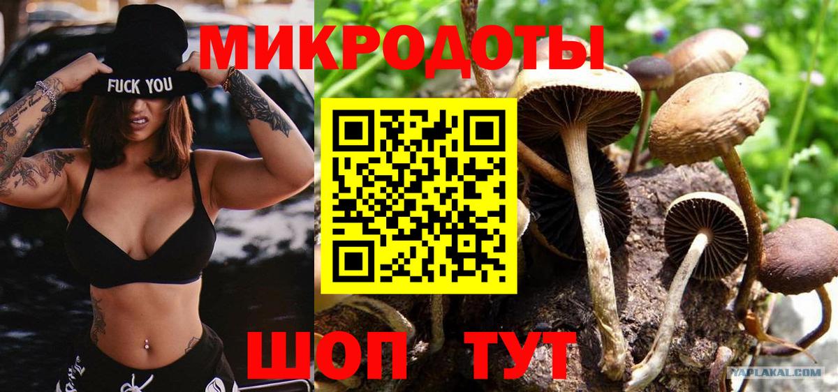 Галлюциногенные грибы мухоморы Тольятти