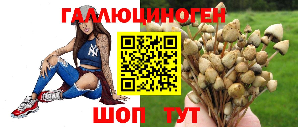 Тольятти  Галлюциногенные грибы MAGIC MUSHROOMS  где продают   Вход с VPN 